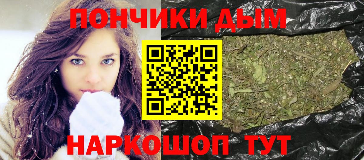 Гай  Каннабис сатива  МАРИХУАНА семена  Конопля SATIVA & INDICA  Вход с VPN 